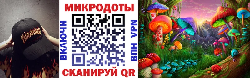Псилоцибиновые грибы Psilocybe  Зарайск 